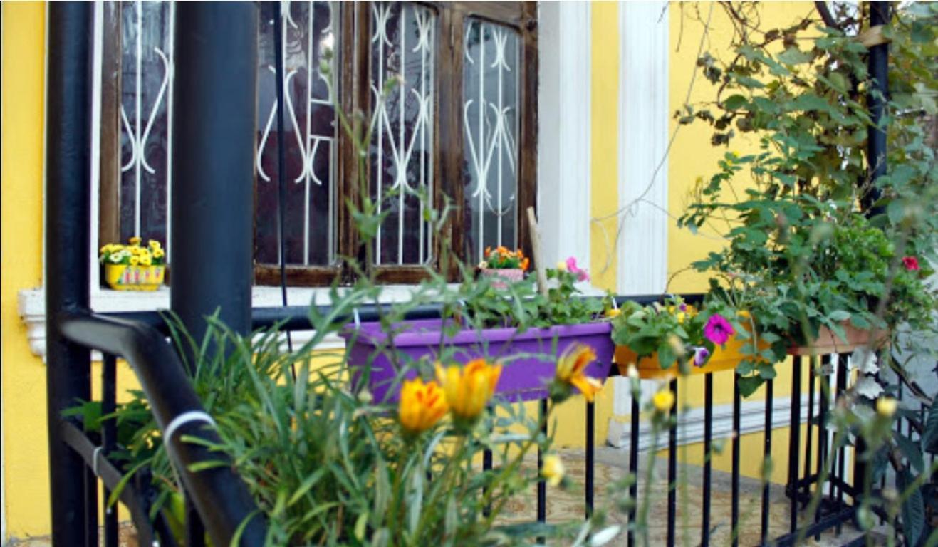 Colors Hostel Tbilisi Ngoại thất bức ảnh