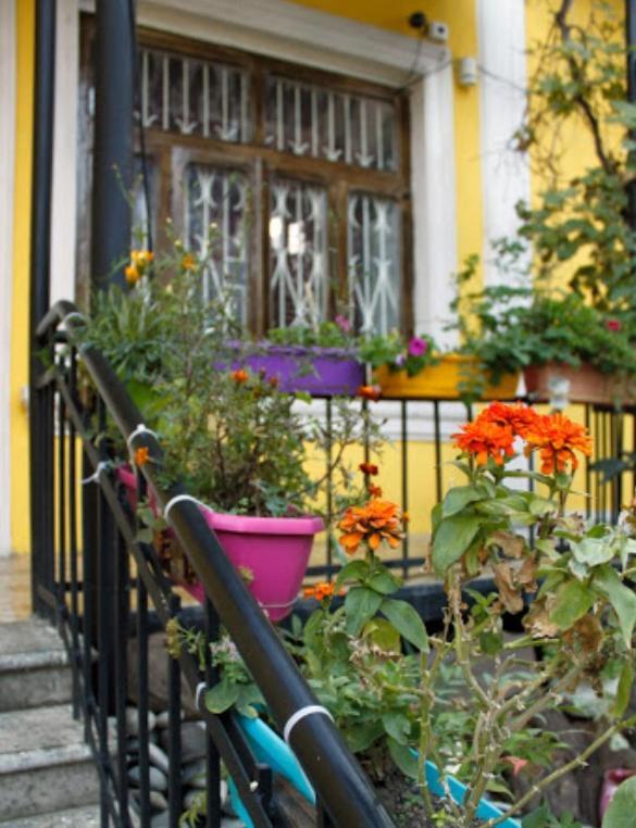 Colors Hostel Tbilisi Ngoại thất bức ảnh