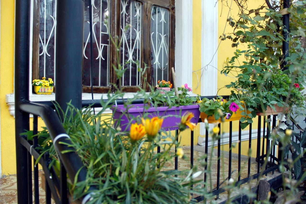 Colors Hostel Tbilisi Ngoại thất bức ảnh