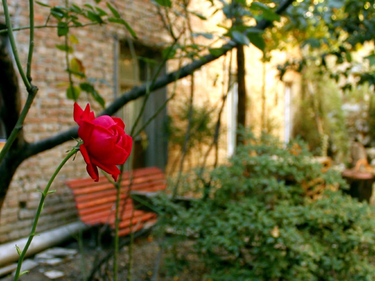 Colors Hostel Tbilisi Ngoại thất bức ảnh
